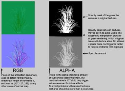 complex_grass_guide.jpg